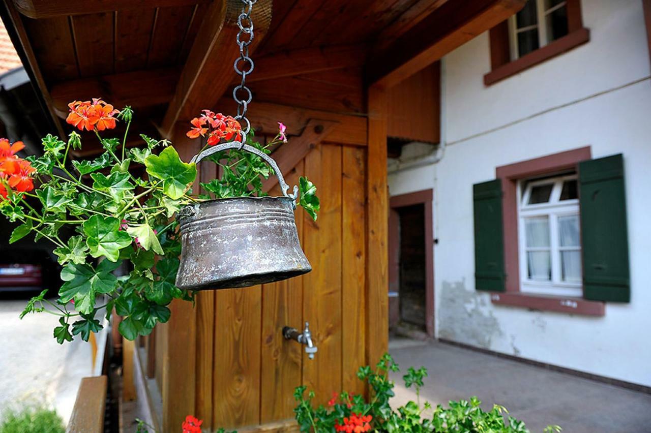 Riehle Hof Apartment Zell am Harmersbach Exterior photo